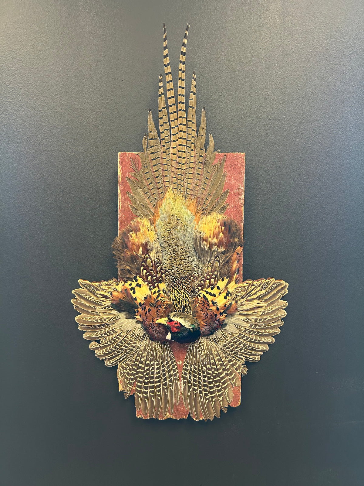 Pheasant Board