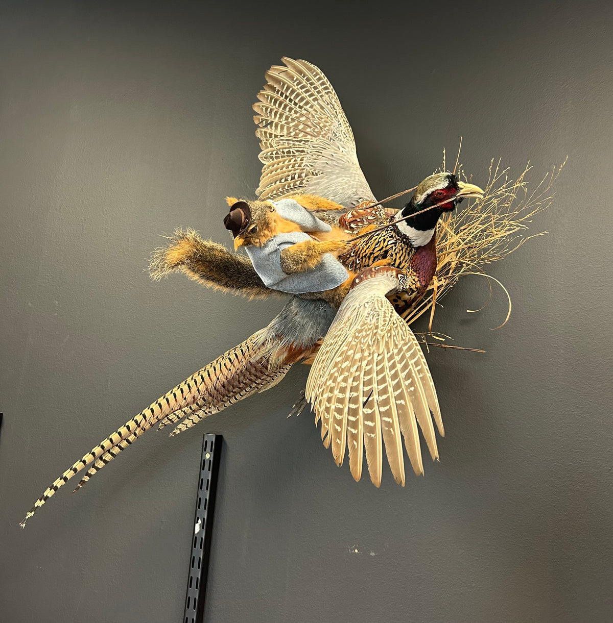 Squirrel Riding a Pheasant
