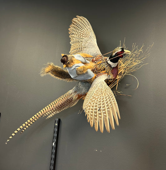 Squirrel Riding a Pheasant